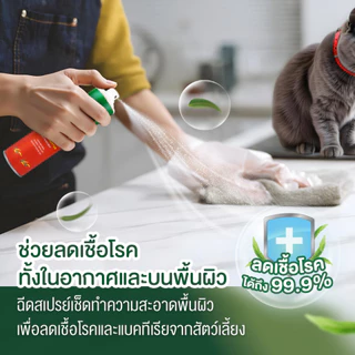 Kangaroo สเปรย์ยูคาลิปตัส ตราจิงโจ้ 300 มล.ช่วยปรับอากาศ และช่วยลดอาการคัดจมูกและภูมิแพ้จากหวัด