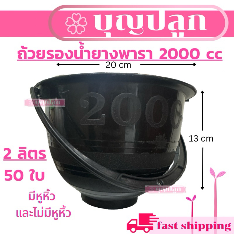(50ใบ) ถ้วยรองน้ำยางพารา 2 ลิตร 2000cc พลาสติก สีดำ มีหูหิ้ว และไม่มีหูหิ้ว
