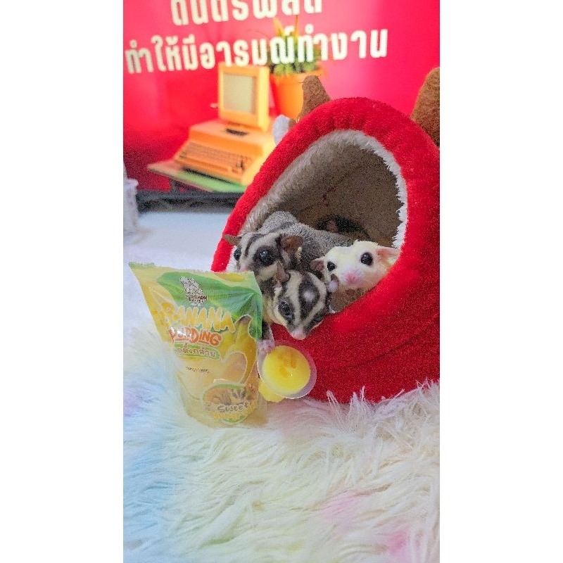 เจลลี่สำหรับชู​ก้า​กระรอก​แฮมเตอร์​แกสบี้​แพรี่ด็อก​กระต่าย​ - รูปที่ 2