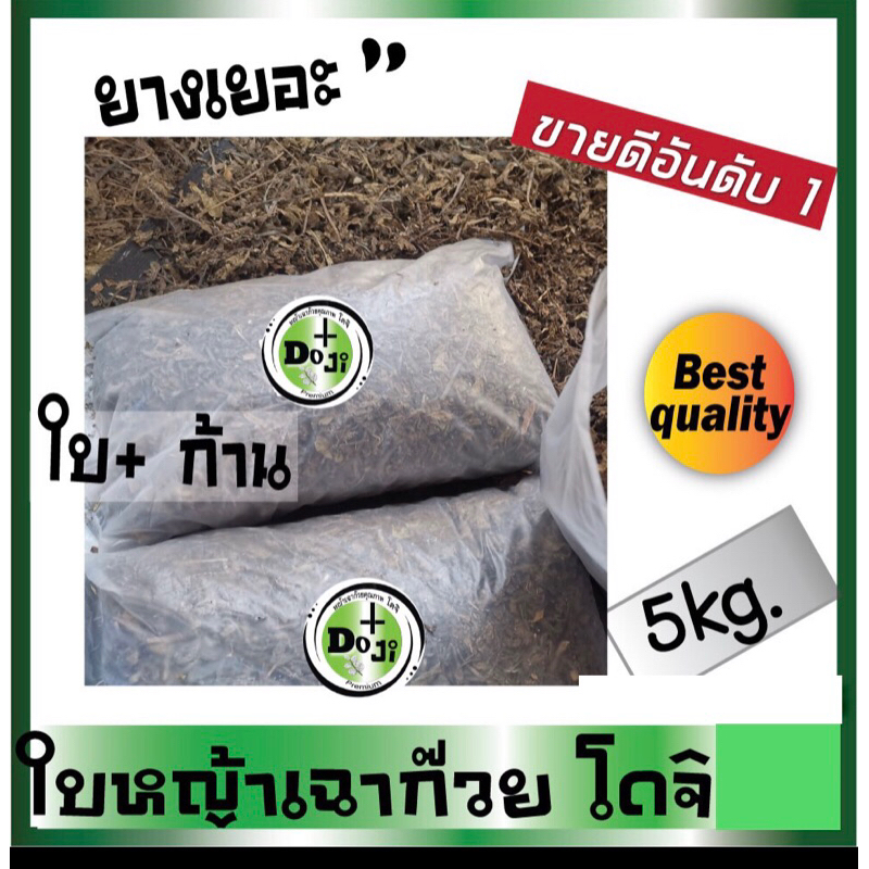 +สิ น ค้ า H o t!! หญ้าเฉาก๊วย โดจิ​ เ​กร​ดAของแท้ ใบเฉาก๊วยผสมก้าน ห่อใหญ่ 5กก. ยางดี เข้มข้น ที่สุด