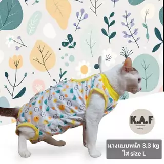 (HP09)เสื้อทำหมัน+กันเลียแบบกระดุม(พร้อมส่งจากไทย!)สำหรับสัตว์เลี้ยง อ่านsizeก่อนสั่ง!