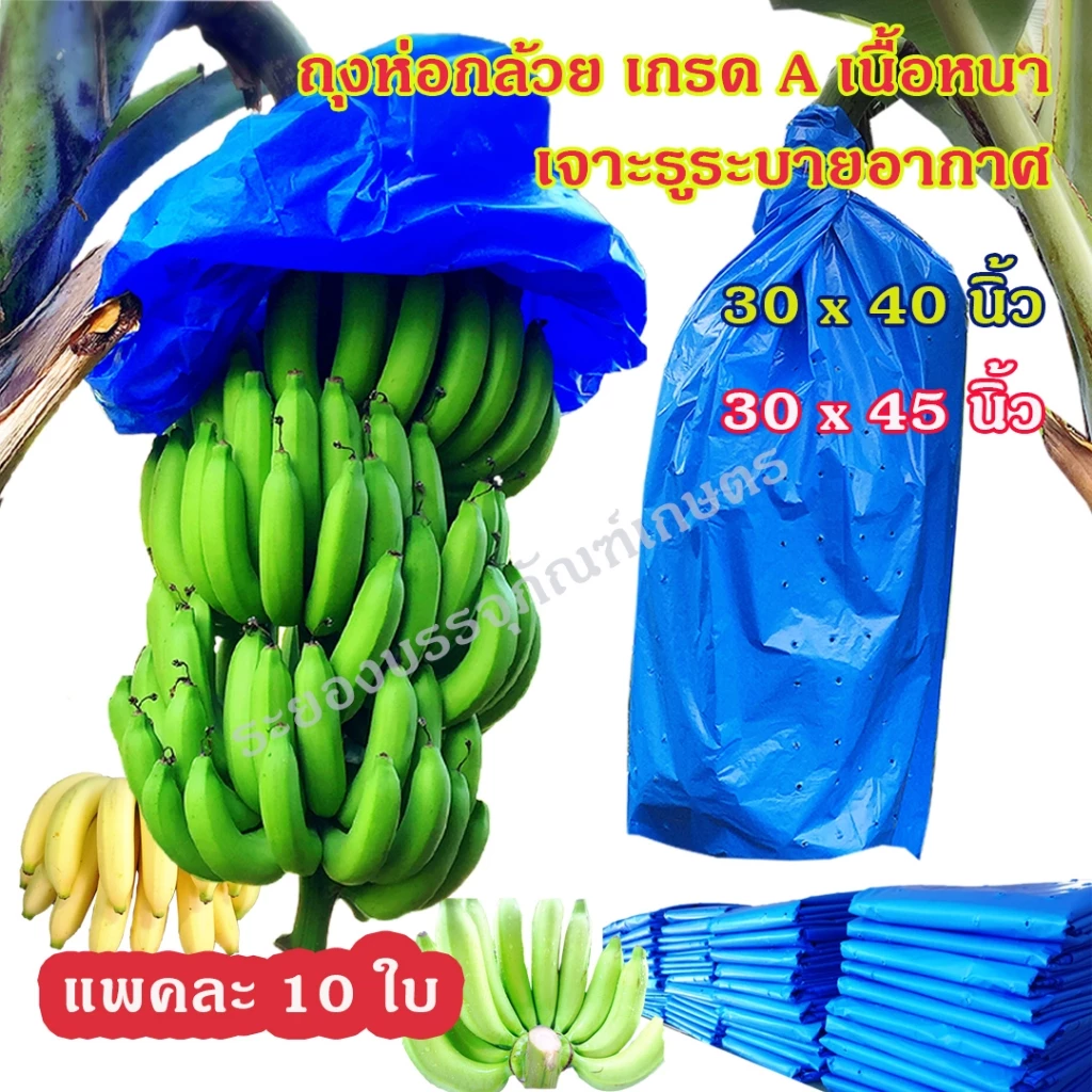 แพคละ 10 ใบ ถุงห่อกล้วย ขนาด 30x40 นิ้ว และ 30x45 นิ้ว เกรด A เนื้อหนา ใช้ซ้ำได้ ถุงห่อกล้วยหอม