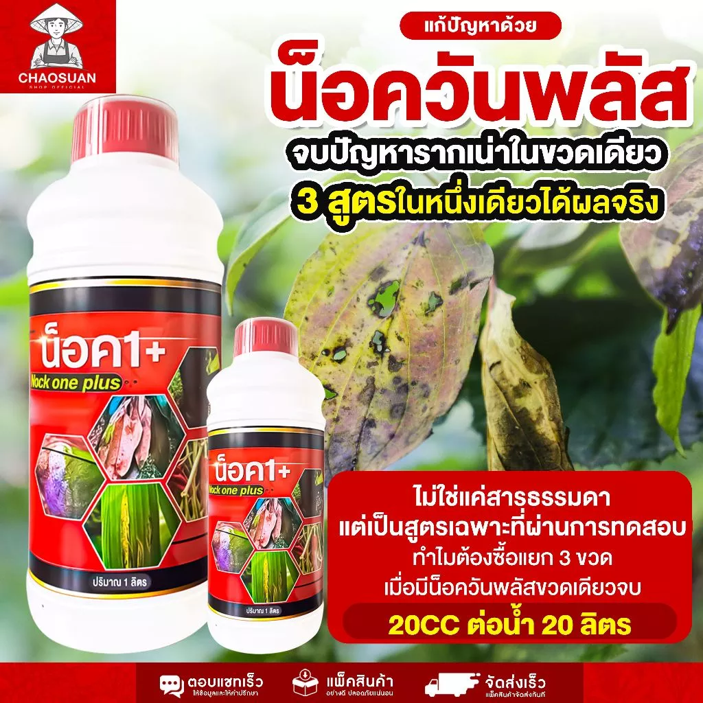 จบปัญหารากเน่าในขวดเดียว 3 สูตรในหนึ่งเดียวได้ผลจริง ไม่ใช่แค่สารธรรมดา แต่เป็นสูตรเฉพาะที่ผ่านการทดสอบ น็อควันพลัส