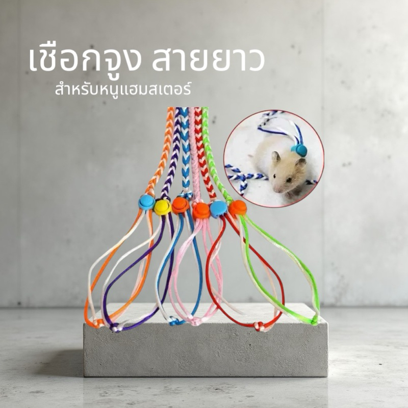 Crazy pet shop 🐹 เชือกจูง สำหรับสัตว์เลี้ยงแฮมสเตอร์