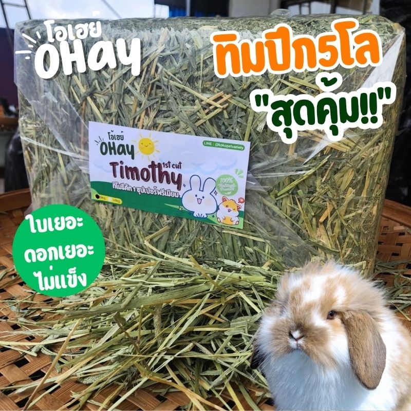 🔥ล็อตใหม่สุด!!ทิมปึก5โลตัวขายดี🔥 Ohay หญ้ากระต่าย🔥หญ้าทิมโมธีซุปเปอร์พรีเมียม สุดคุ้มแบบปึก*ไม่ร่อนฝุ่น* 5 โล