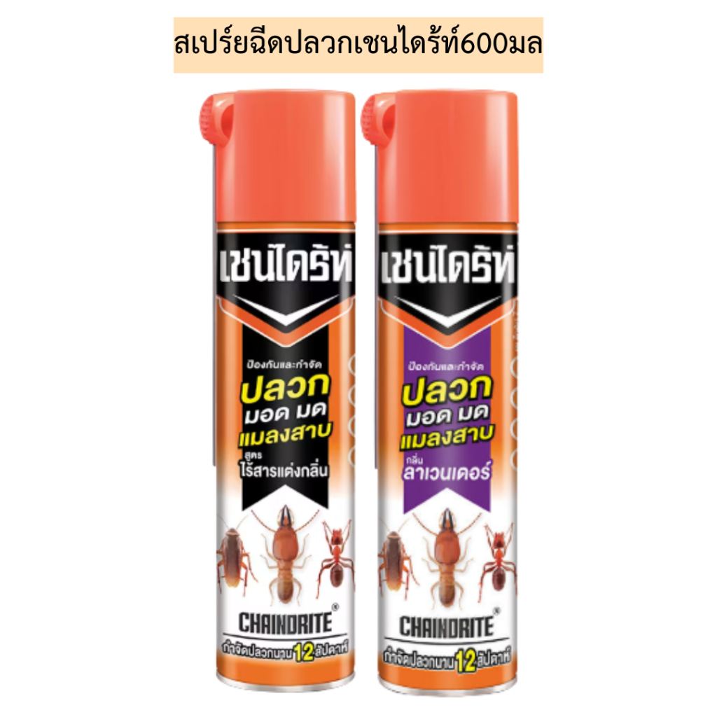 สเปร์ยฉีดปลวกเชนไดร้ท์600มล 💛 รุ่นกระป๋องเดี่ยว มี2สูตร