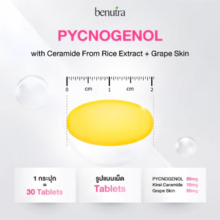 Benutra PYCNOGENOL with Ceramide + Grape Skin 1 ก. 30 เม็ด เปลือกสนฝรั่งเศส ฝ้า กระ จุดด่างดำ ผิวใส