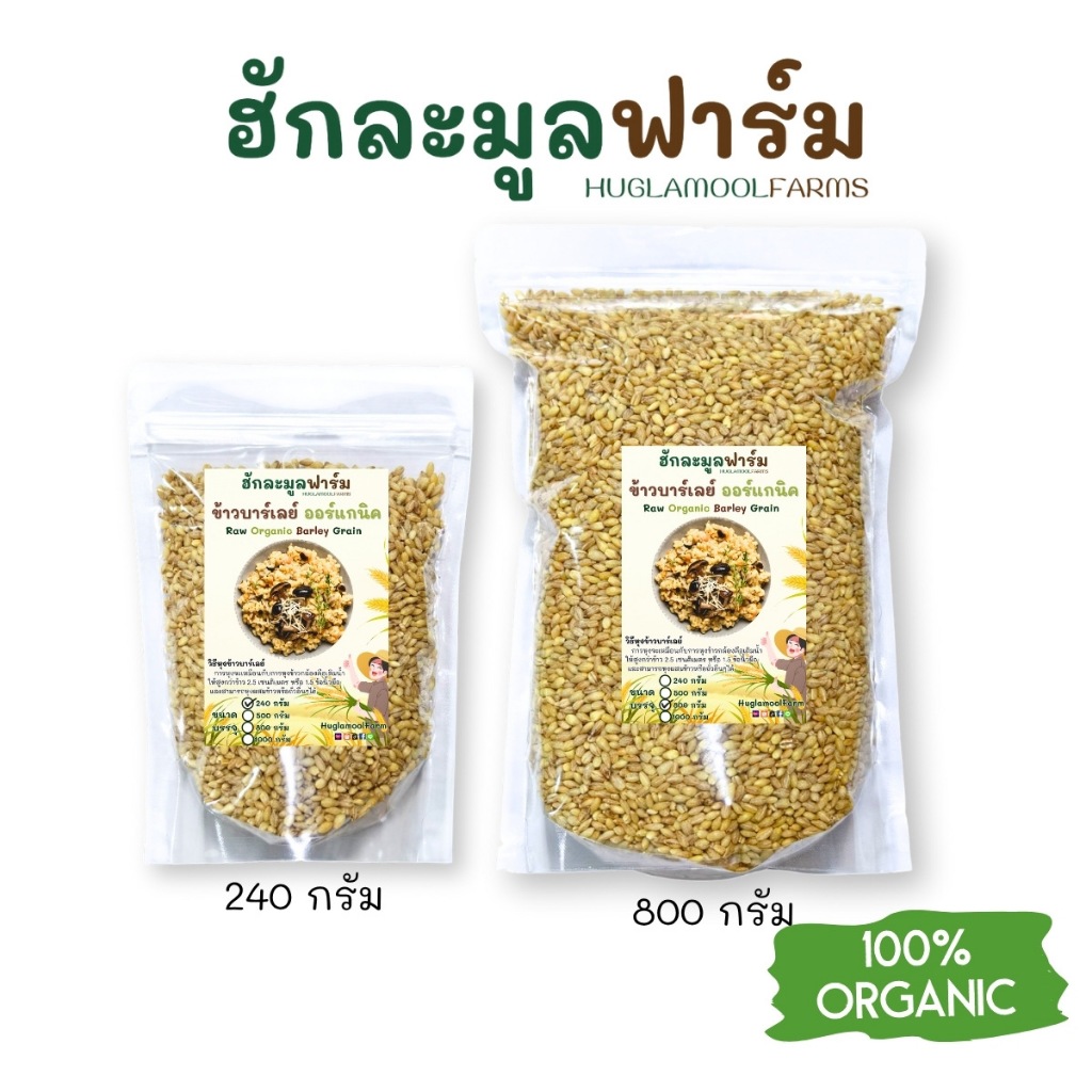ข้าวบาร์เลย์ ออร์แกนิค 240 800กรัม ไม่ขัดสี ตราฮักละมูลฟาร์ม Organic Barley Grain บาเลย์ huglamoolfarm
