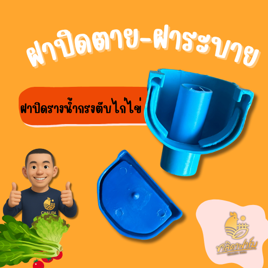 ฝาปิดรางน้ำ กรงตับไก่ไข่ งานไทย หนาแข็งแรง เกรดA+++