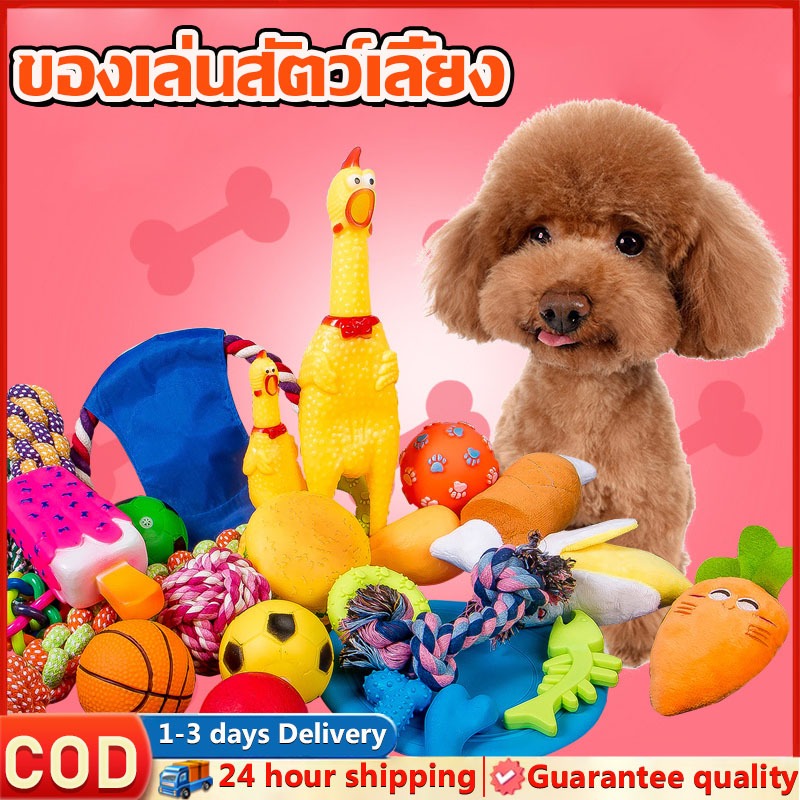 ของเล่นสัตว์เลี้ยง ของเล่นแมว ของเล่นสุนัข ทนต่อการกัด ทนต่อการสึกหรอ อุปกรณ์สำหรับสัตว์เลี้ยง