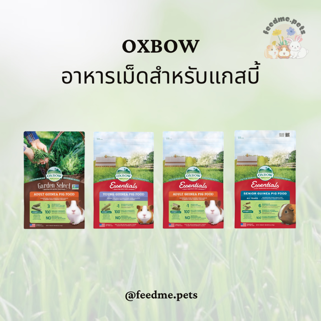 Oxbow – อาหารเม็ดสำหรับแกสบี้เด็กและโต