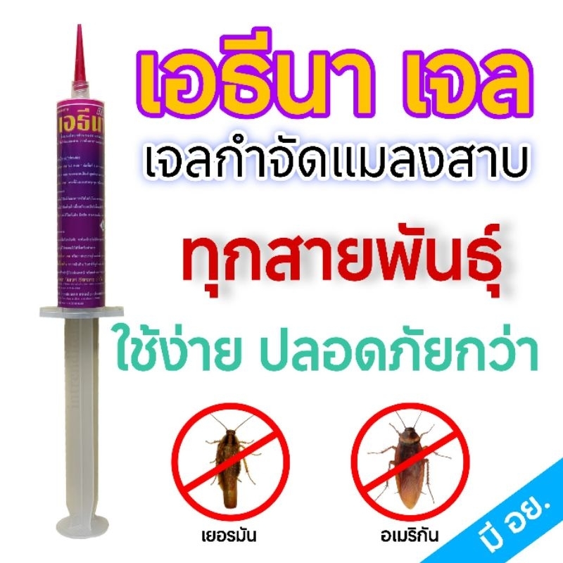 เจลกำจัดแมลงสาบ เอธีนา เจล (ATHENA GEL)มี อย. ส่งฟรี