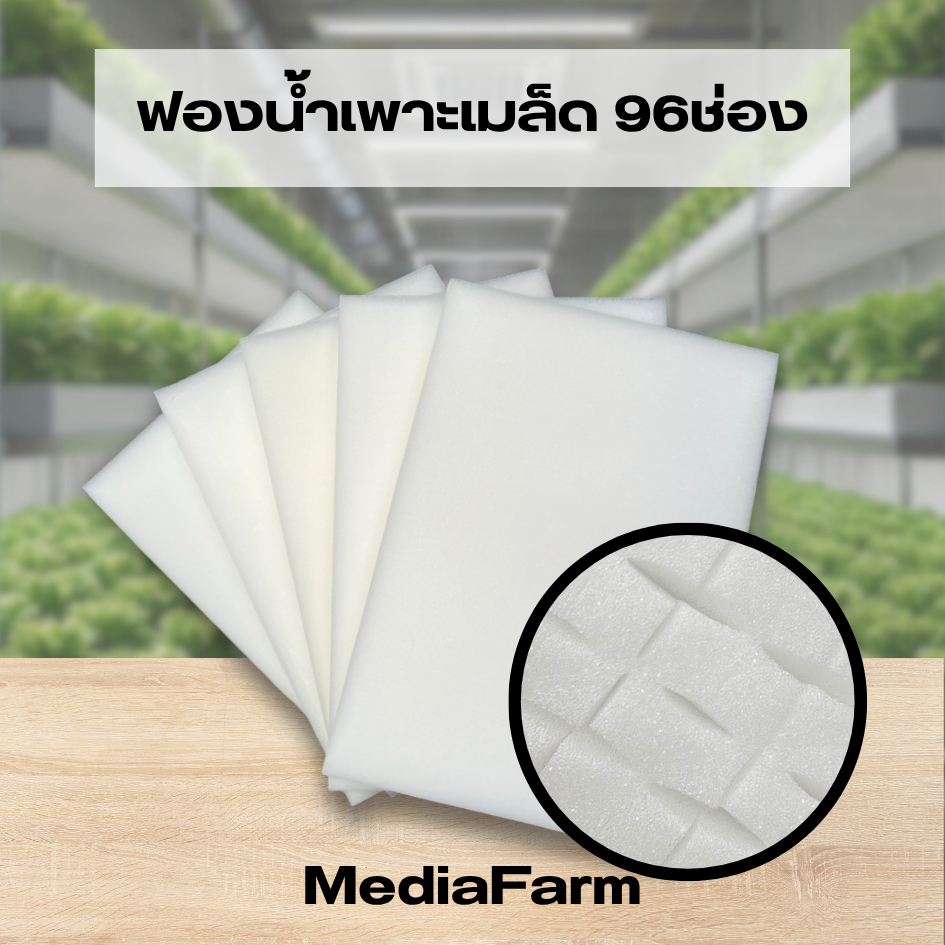 ฟองน้ำเพาะเมล็ด ปลูกผักไฮโดรโปนิกส์ (96ก้อน) เนื้อละเอียด