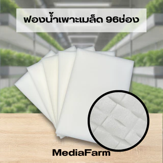 ฟองน้ำเพาะเมล็ดแบบยกห่อ100แผ่น