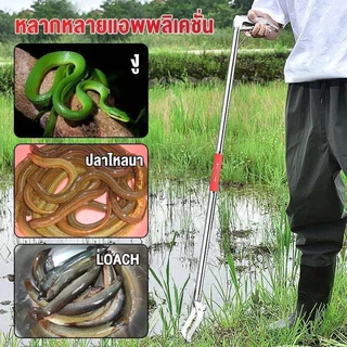 🔥การจับกุมอย่างปลอดภัย🔥ไม้จับงู 1.5 เมตร คีมจับงู จับงู พร้อมตัวล็อคนิรภัย จับจิ้งจก ปลา ตุ๊กแก จับแมลง วัสดุสแตนเลส