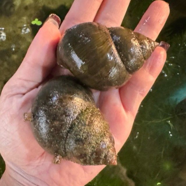 รูปภาพ 3