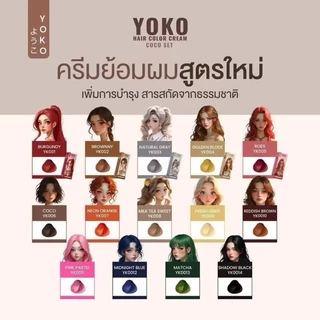 โยโกะ คัลเลอร์ แฮร์ สีย้อมผม ติดทน สีชัด ไม่ทำร้ายเส้นผม มีให้เลือก 14 เฉดสี YOKO ((สูตรใหม่))