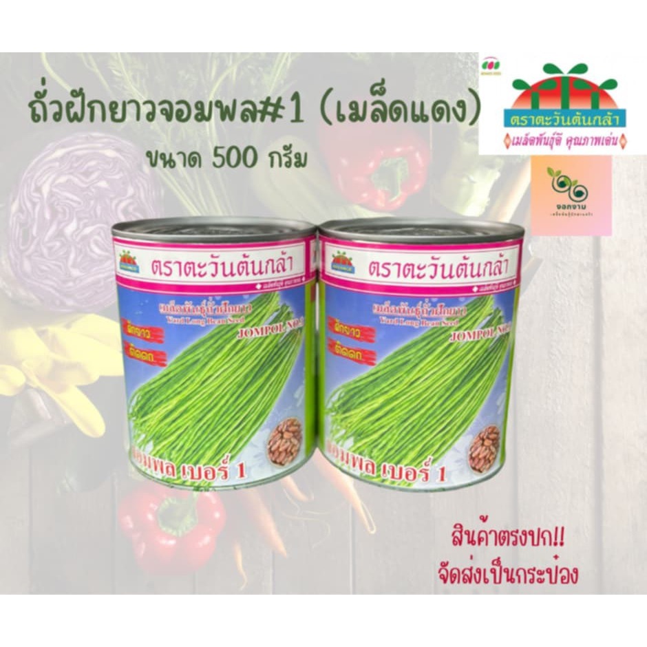 เมล็ดถั่วฝักยาวจอมพล ขนาด 500 กรัม ตราตะวันต้นกล้า
