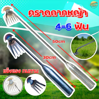 คราดถากหญ้า 6 ฟัน อุปกรณ์ทำสวน ถอนราก ขุดหญ้า ขุดดินใช้กำจัดหญ้า วัชพืช เหล็กอย่างดี