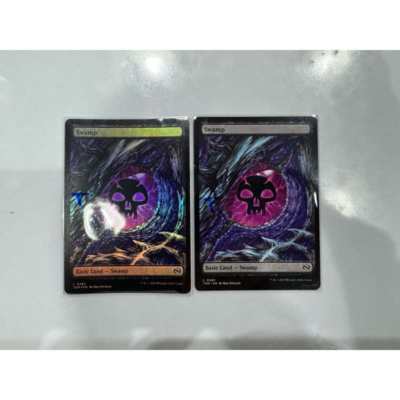 MTG Tarkir: Dragonstorm: Swamp (0289)