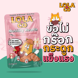 Lola & Co อาหารเปียกแมว โลล่า แอนด์ โค อาหารแมว แมวโต ลูกแมว สารอาหารครบ ไม่เติมเกลือ ปลาทูน่า ไก่ ส่งด่วน ยกโหล 12 ซอง