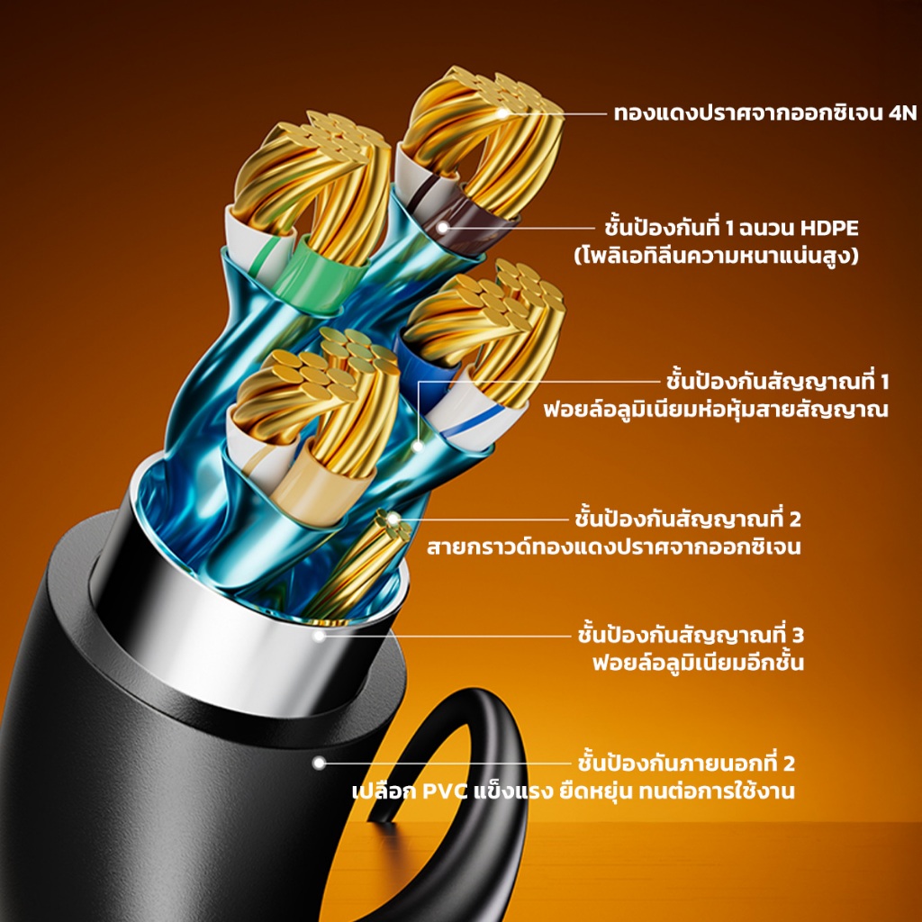 รูปภาพ 5