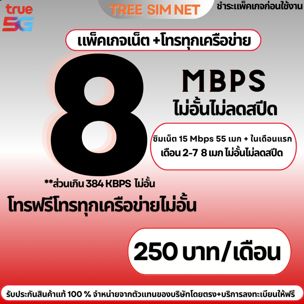 ซิมเทพทรูเน็ตไม่ลดสปีด 8 Mbps โทรฟรีทุกเครือข่าย(เดือนแรก 55GB + เดือน 2-7 8 Mbps ไม่ลดสปีด)
