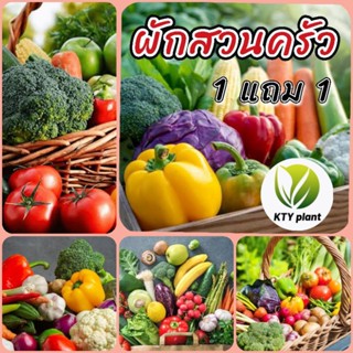 1 แถม 1 เมล็ดผักสวนครัว มีเมล็ดหลายชนิด คะน้า พริกขี้หนู ผัก…