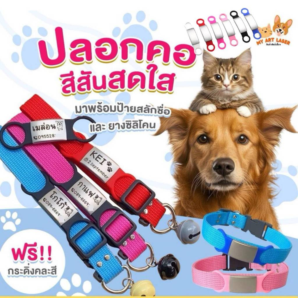ป้ายชื่อสัตว์เลี้ยง+ปลอกคอ  ป้ายน้องหมาแมว กระดิ่งคละสี สแตนเลส (ป้ายชื่อยาง+ปลอกคอ)