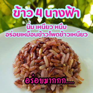 ข้าวสาร ข้าว4นางฟ้า 4Mixed Rice เหนียวดำ ไรซ์เบอรี่ กล้อง ตรา Good Rice by Glory Rice 1 กิโลกรัม