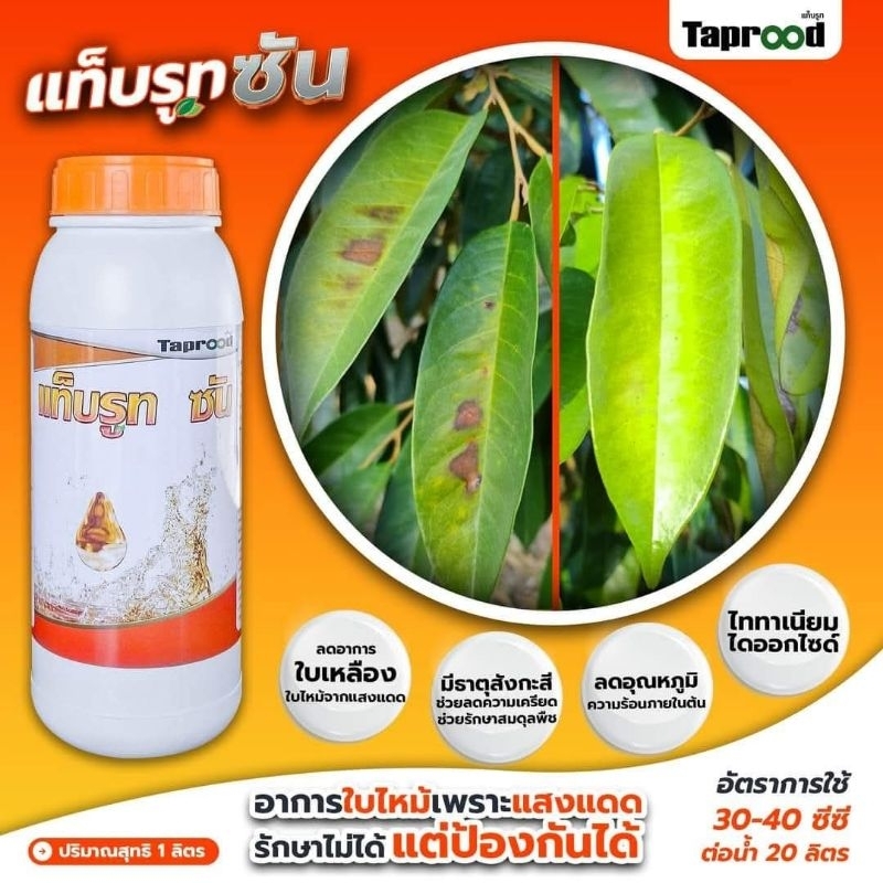 แท็บรูท ซัน 1L. ไททาเนียมไดออกไซด์