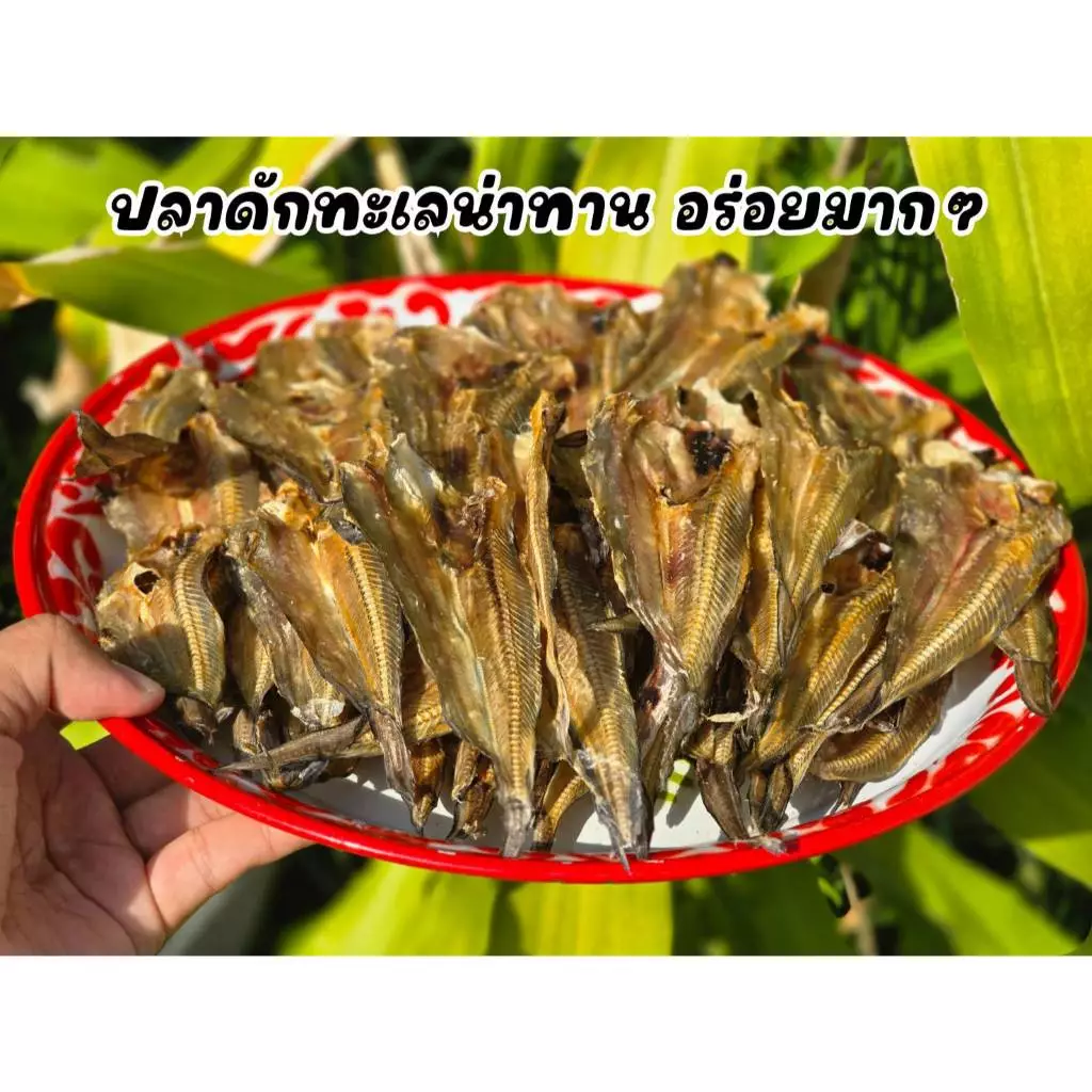 ปลาดักทะเลตากแห้งหรือปลาดุกทะเลตากแห้ง ขายยกกิโลและแบ่งขายครึ่งโล สินค้าขาย นำไปทอด ทานกับน้ำพริกและข้าวร้อนอร่อยแน่นอน