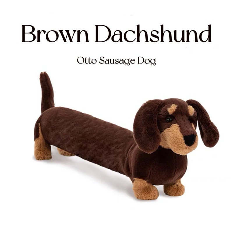 พร้อมส่ง🇹🇭มีส่งด่วน🛵✨ ตุ๊กตา หมอนข้าง ดัชชุน หมาไส้กรอก 🌭 Otto Brown Dachshoun Sausage Dog 🐕 ✨