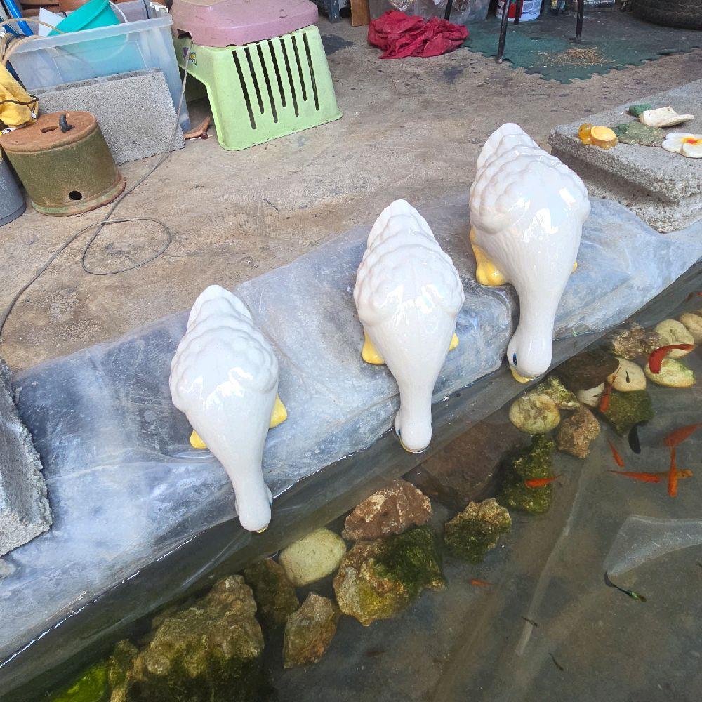 เป็ดก้ม เป็ดเซรามิก งานเซรามิก มี 3 ขนาด 8-9-10 นิ้ว ตกแต่งสวน อ่างปลา พร้อมส่ง