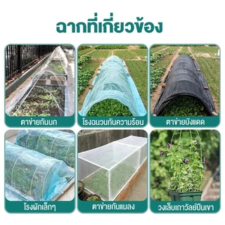 【COD】10 ราก 180 ซม. เสาอาร์คเกษตร เส้นผ่านศูนย์กลาง 4/6/8 มม ความยาว 180cm ท่อไฟเบอร์แก้ว (แท่งกลมตัน)