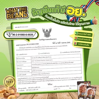 เม็ดมะม่วงจัมโบ้เผาเกลือ สูตรโบราณ 1,000 กรัม เม็ดมะม่วงยักษ์ เกรดAAA what the beans