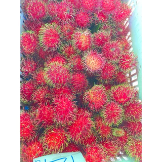ส่งด่วน ❣️เงาะโรงเรียน สดๆจากต้น หวาน เนื้อร่อน หวานกรอบ อร่อย ส่งทุกวัน