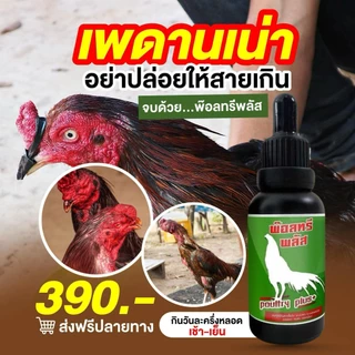พ๊อตทรีพลัสคอดอกคอดังคอดังเรื้อรัง