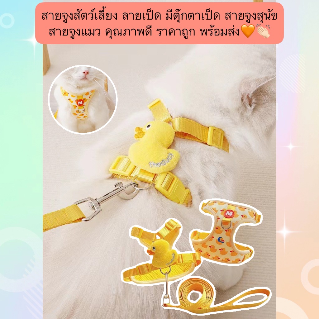 PP-688 สายจูงสัตว์เลี้ยง ลายเป็ดน่ารัก พร้อมตุ๊กตาเป็ดจิ๋ว สายจูงสำหรับสุนัขและแมว คุณภาพดี ราคาประหยัด พร้อมส่งทันที🧡👏🏻