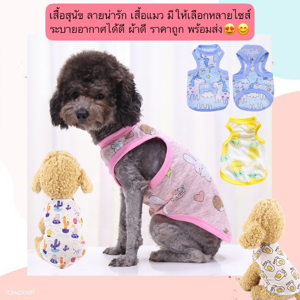 BN-689 เสื้อสัตว์เลี้ยง ลายการ์ตูนน่ารัก สำหรับหมาและแมว 🐶🐱 ผ้านิ่ม ใส่สบาย ราคาประหยัด พร้อมส่ง! 💥 ✨