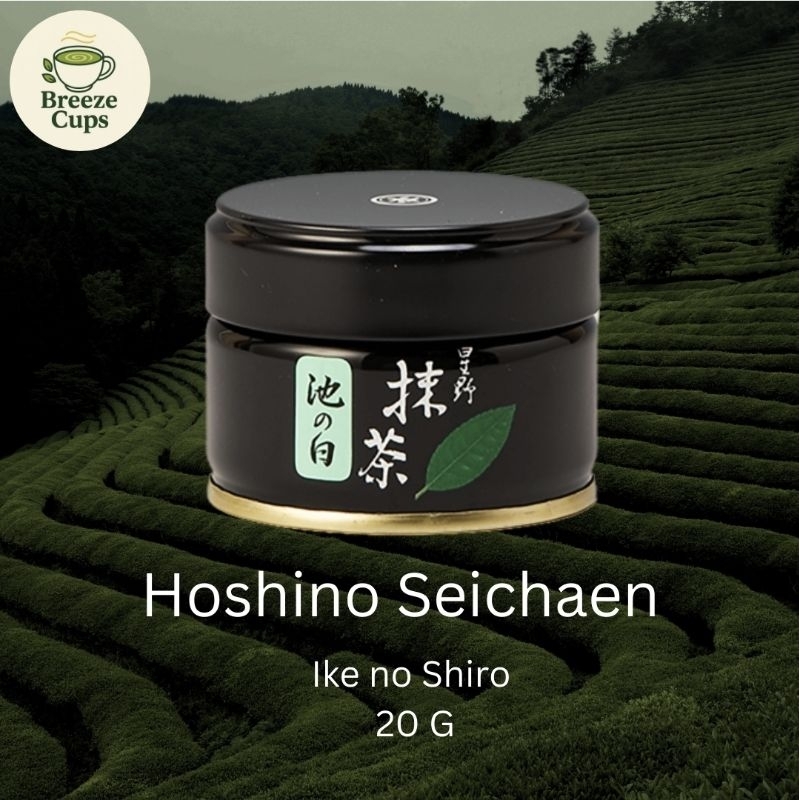 [ สินค้ามีพร้อมส่ง] Hoshino Seichaen Ike no Shiro