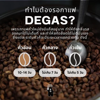กาแฟเข้ม MaeMon Chocolate เมล็ดกาแฟคั่ว หอมช็อกโกแลต คั่วกลางเข้ม Single Origin ดอยแม่มอญ by Nite Coffee