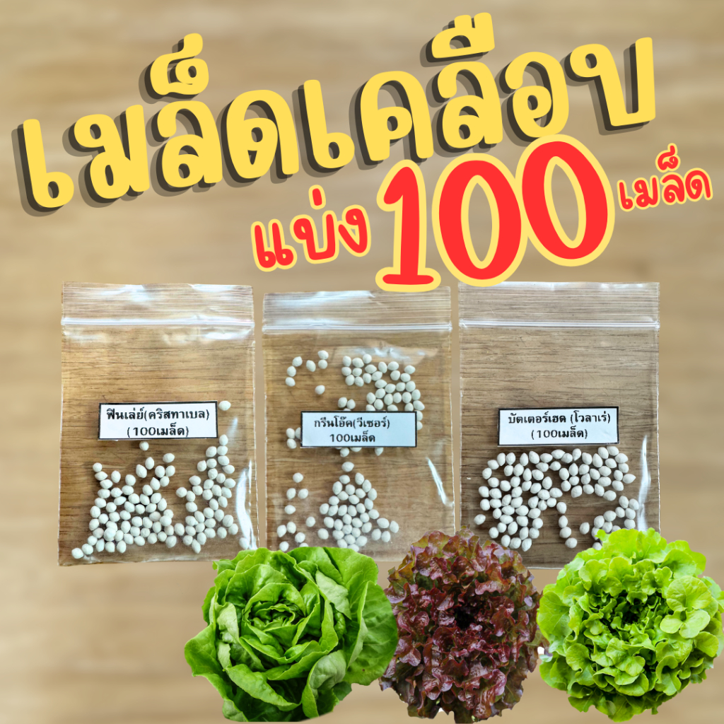 เมล็ดเคลือบ เมล็ดผักสลัดชนิดเคลือบ [แบ่งถุงละ 100 เมล็ด] อัตราการงอกสูง ENZA ZADEN
