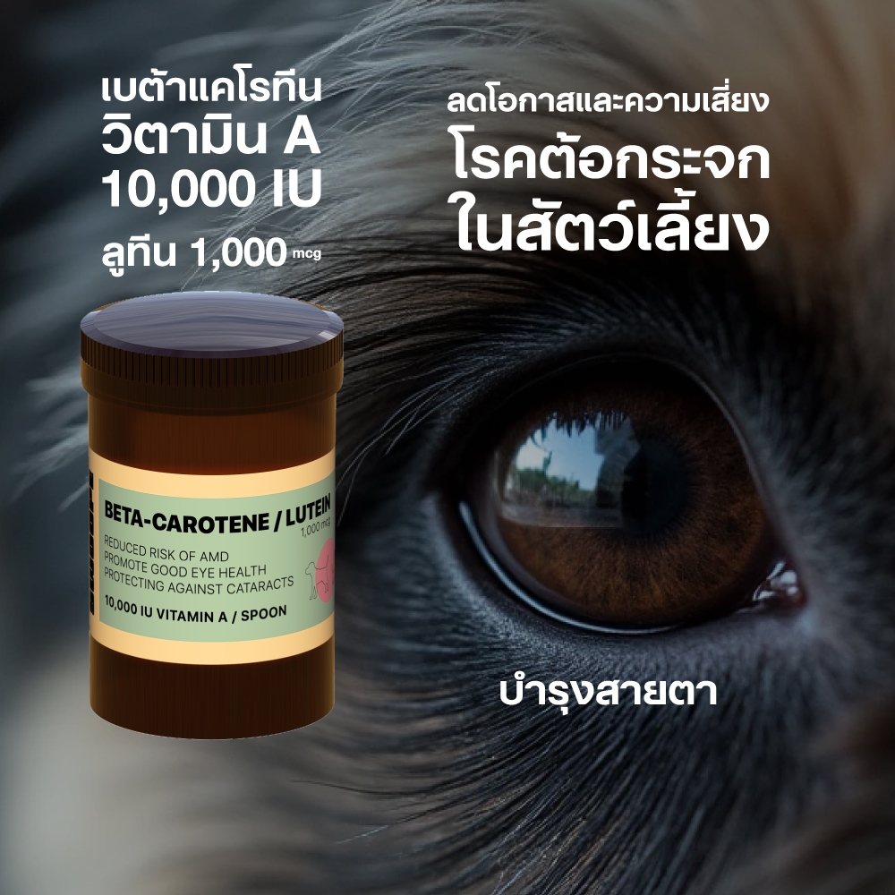 SWOOPE เบต้าแคโรทีนผสมลูทีน สำหรับแมวและสุนัข บำรุงสายตา ป้องกันต้อกระจกในสัตว์เลี้ยง