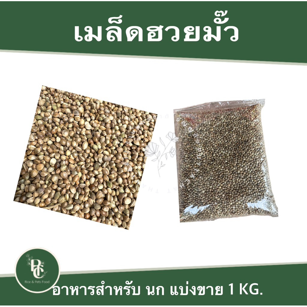 อาหารนกแก้ว ฮวยมั๊ว แบ่งขาย 1 กิโล