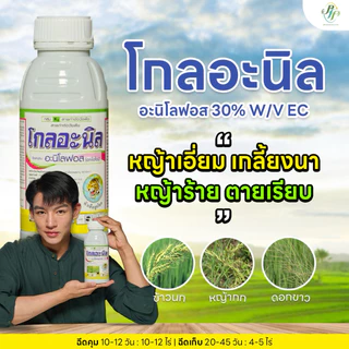 โกลอะนิล อะนีโลฟอส ล้อตใหม่!!!!! 500 ซีซี หัวเสือ กำจัดหญ้าข้าวนก หญ้ากระดูกไก่ หญ้าใบแคบใบกว้าง