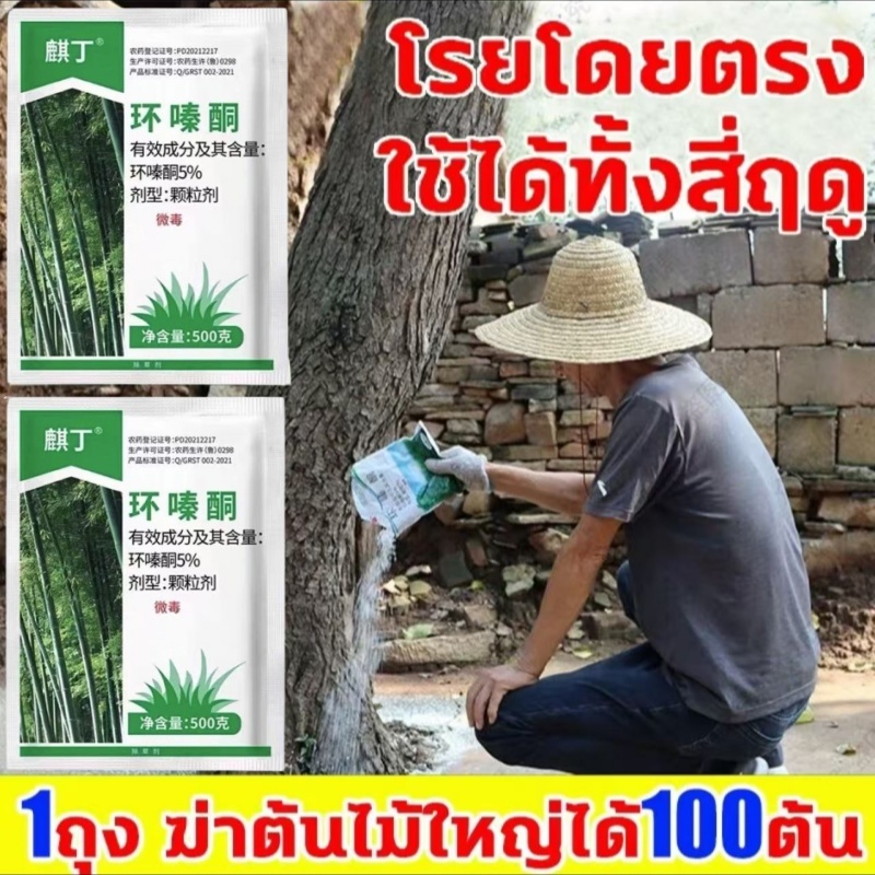 ยากำจัดต้นไม้ สารกำจัดกอไผ่ ผงกำจัดต้นไผ่ ยาฆ่า ตอไม้ 500g สูตรเข้มข้น กำจัดวัชพืชรากเน่า ผลติด ทนนาน ไม่เป็นอันตรายต