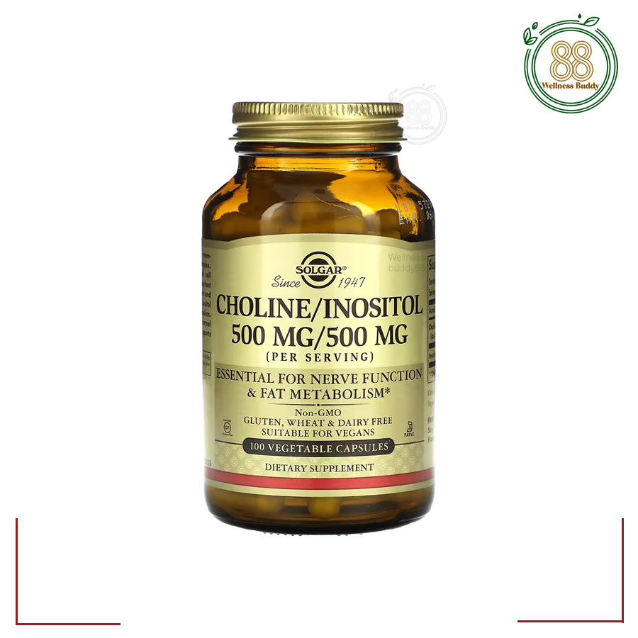Solgar, Choline/Inositol, 100 Vegetable Capsules