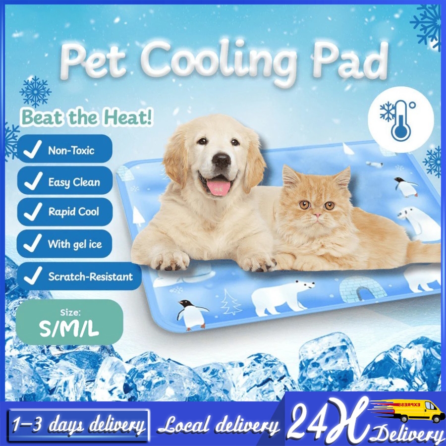 ❄️แผ่นเจลเย็น แมว ที่นอนแมวเย็น เจลเย็นสัตว์เลี้ยง เบาะเย็นแมว ที่นอนเจลเย็น เบาะนอนเย็น หรัที่นอนสัตว์เลี้ยง แผ่นเย็นสุ
