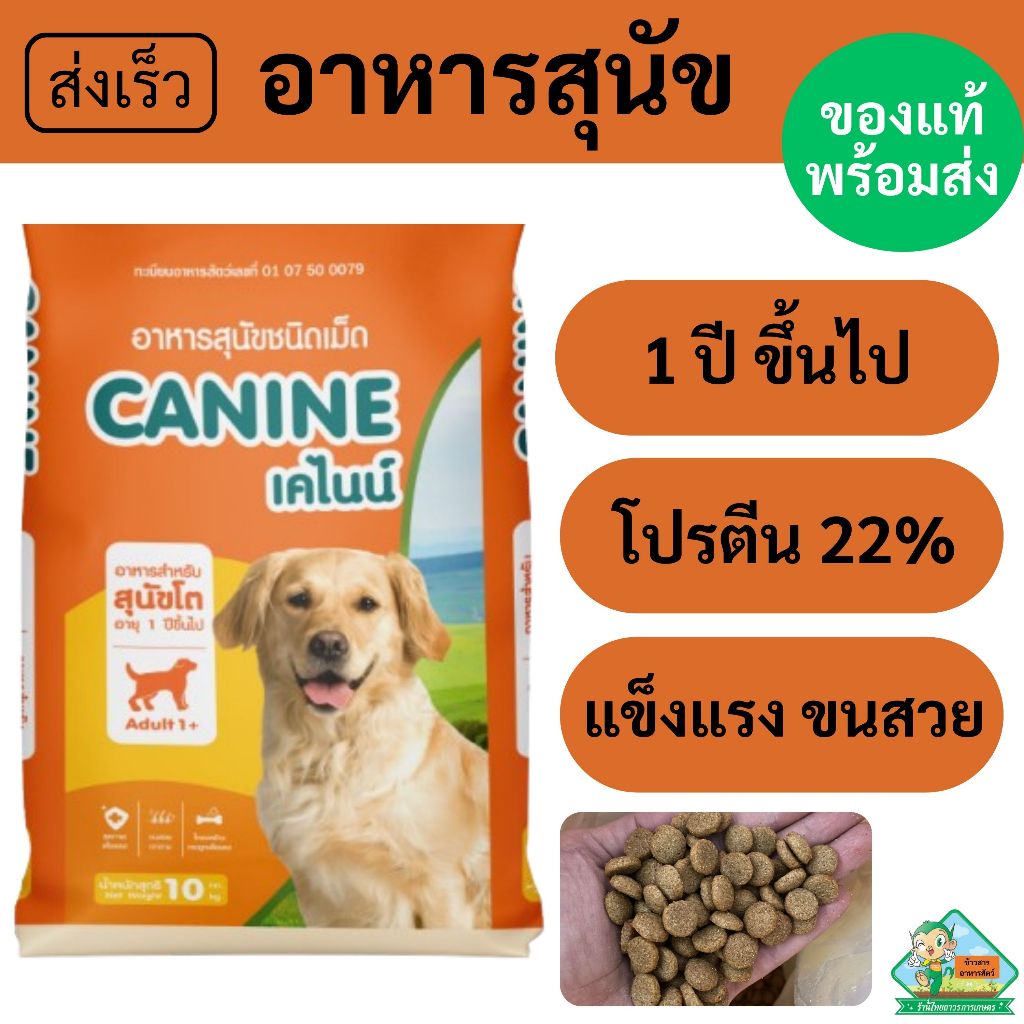 อาหารสุนัข เคไนน์ เม็ดผสมสำเร็จ [1 ปี ขึ้นไป - ถุง 10 kg.]